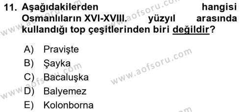 Türk Askeri Teşkilat Tarihi Dersi 2022 - 2023 Yılı (Vize) Ara Sınavı 11. Soru