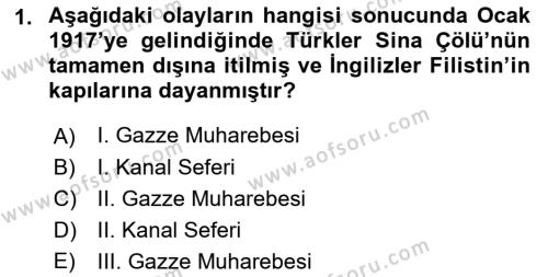 Birinci Dünya Savaşı’nda Türk Cepheleri Dersi 2021 - 2022 Yılı (Final) Dönem Sonu Sınavı 1. Soru