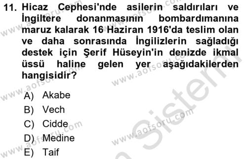 Birinci Dünya Savaşı’nda Türk Cepheleri Dersi 2021 - 2022 Yılı (Final) Dönem Sonu Sınavı 11. Soru