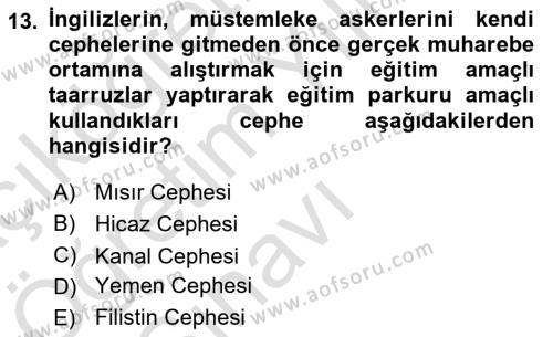 Birinci Dünya Savaşı’nda Türk Cepheleri Dersi 2021 - 2022 Yılı Yaz Okulu Sınavı 13. Soru