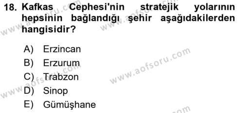Birinci Dünya Savaşı’nda Türk Cepheleri Dersi 2021 - 2022 Yılı Yaz Okulu Sınavı 18. Soru
