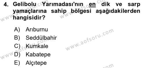 Birinci Dünya Savaşı’nda Türk Cepheleri Dersi 2021 - 2022 Yılı Yaz Okulu Sınavı 4. Soru