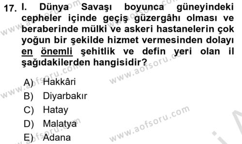 Birinci Dünya Savaşı’nda Türk Cepheleri Dersi 2022 - 2023 Yılı Yaz Okulu Sınavı 17. Soru