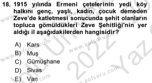 Birinci Dünya Savaşı’nda Türk Cepheleri Dersi 2022 - 2023 Yılı Yaz Okulu Sınavı 18. Soru