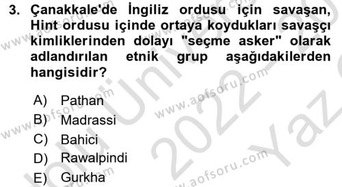 Birinci Dünya Savaşı’nda Türk Cepheleri Dersi 2022 - 2023 Yılı Yaz Okulu Sınavı 3. Soru