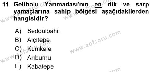 Birinci Dünya Savaşı’nda Türk Cepheleri Dersi 2023 - 2024 Yılı (Vize) Ara Sınavı 11. Soru