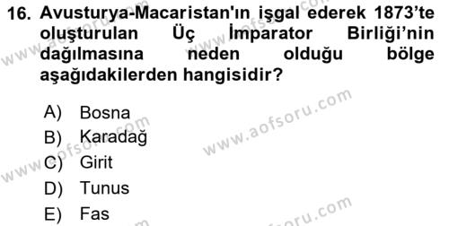 Birinci Dünya Savaşı’nda Türk Cepheleri Dersi 2023 - 2024 Yılı (Vize) Ara Sınavı 16. Soru