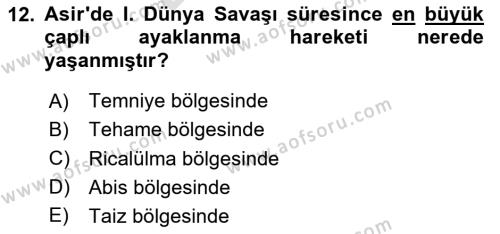 Birinci Dünya Savaşı’nda Türk Cepheleri Dersi 2023 - 2024 Yılı (Final) Dönem Sonu Sınavı 12. Soru