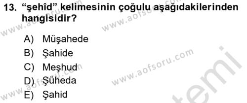 Birinci Dünya Savaşı’nda Türk Cepheleri Dersi 2023 - 2024 Yılı (Final) Dönem Sonu Sınavı 13. Soru