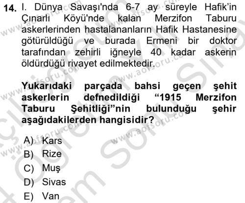 Birinci Dünya Savaşı’nda Türk Cepheleri Dersi 2023 - 2024 Yılı (Final) Dönem Sonu Sınavı 14. Soru