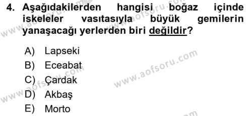 Birinci Dünya Savaşı’nda Türk Cepheleri Dersi 2023 - 2024 Yılı (Final) Dönem Sonu Sınavı 4. Soru