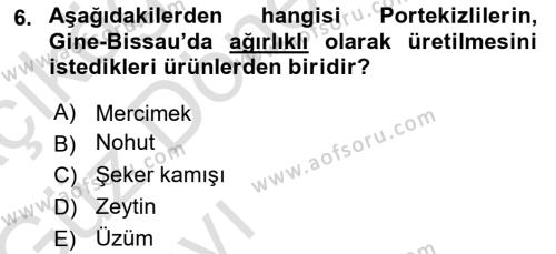 Sömürgecilik Tarihi (Avrupa-Amerika) Dersi 2019 - 2020 Yılı (Vize) Ara Sınavı 6. Soru