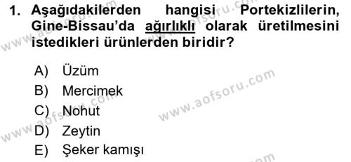 Sömürgecilik Tarihi (Avrupa-Amerika) Dersi 2021 - 2022 Yılı Yaz Okulu Sınavı 1. Soru