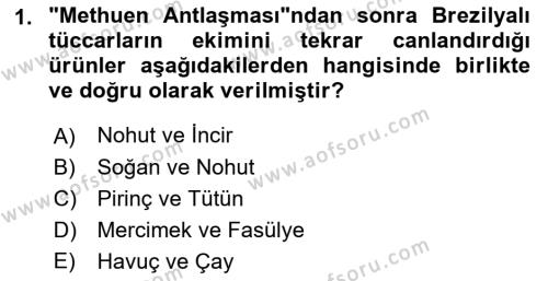 Sömürgecilik Tarihi (Avrupa-Amerika) Dersi 2022 - 2023 Yılı (Vize) Ara Sınavı 1. Soru