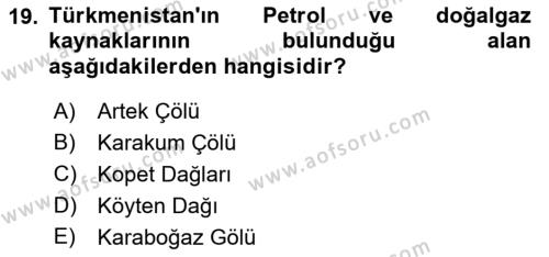 Çağdaş Türk Dünyası Dersi 2022 - 2023 Yılı Yaz Okulu Sınavı 19. Soru