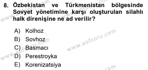 Çağdaş Türk Dünyası Dersi 2023 - 2024 Yılı (Vize) Ara Sınavı 8. Soru