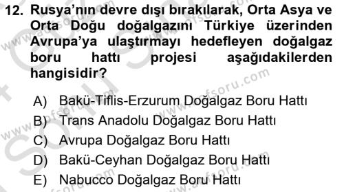 Çağdaş Türk Dünyası Dersi 2023 - 2024 Yılı (Final) Dönem Sonu Sınavı 12. Soru