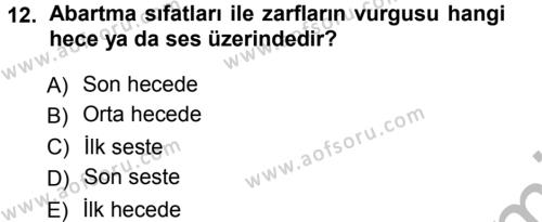 Türkçe Ses Bilgisi Dersi 2012 - 2013 Yılı (Vize) Ara Sınavı 12. Soru