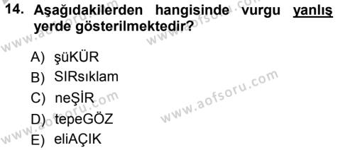 Türkçe Ses Bilgisi Dersi 2012 - 2013 Yılı (Vize) Ara Sınavı 14. Soru