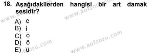 Türkçe Ses Bilgisi Dersi 2012 - 2013 Yılı (Vize) Ara Sınavı 18. Soru