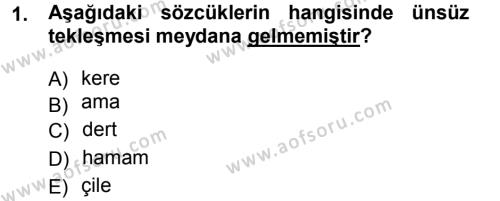 Türkçe Ses Bilgisi Dersi 2012 - 2013 Yılı (Final) Dönem Sonu Sınavı 1. Soru