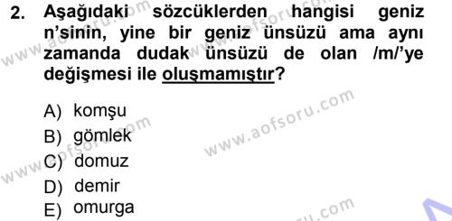 Türkçe Ses Bilgisi Dersi 2012 - 2013 Yılı (Final) Dönem Sonu Sınavı 2. Soru
