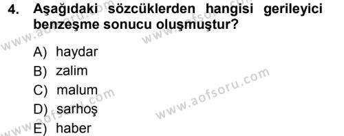 Türkçe Ses Bilgisi Dersi 2012 - 2013 Yılı (Final) Dönem Sonu Sınavı 4. Soru