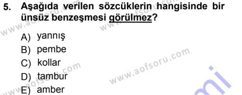 Türkçe Ses Bilgisi Dersi 2012 - 2013 Yılı (Final) Dönem Sonu Sınavı 5. Soru