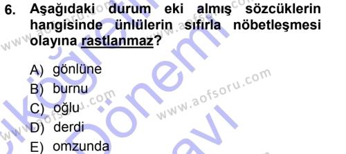 Türkçe Ses Bilgisi Dersi 2012 - 2013 Yılı (Final) Dönem Sonu Sınavı 6. Soru