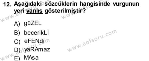 Türkçe Ses Bilgisi Dersi 2013 - 2014 Yılı (Vize) Ara Sınavı 12. Soru