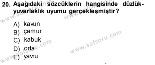 Türkçe Ses Bilgisi Dersi 2013 - 2014 Yılı (Vize) Ara Sınavı 20. Soru