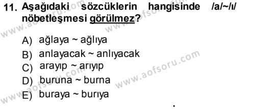 Türkçe Ses Bilgisi Dersi 2013 - 2014 Yılı (Final) Dönem Sonu Sınavı 11. Soru