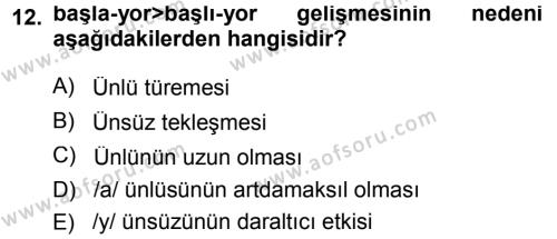 Türkçe Ses Bilgisi Dersi 2013 - 2014 Yılı (Final) Dönem Sonu Sınavı 12. Soru