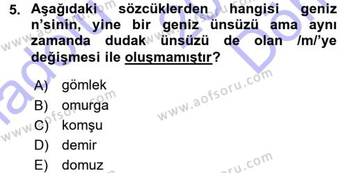 Türkçe Ses Bilgisi Dersi 2015 - 2016 Yılı (Final) Dönem Sonu Sınavı 5. Soru
