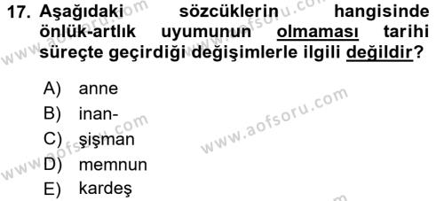 Türkçe Ses Bilgisi Dersi 2016 - 2017 Yılı (Vize) Ara Sınavı 17. Soru