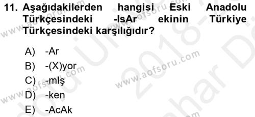 Türkçe Biçim Bilgisi Dersi 2018 - 2019 Yılı (Vize) Ara Sınavı 11. Soru