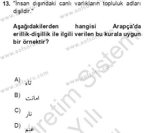 Osmanlı Türkçesine Giriş 2 Dersi 2021 - 2022 Yılı (Vize) Ara Sınavı 13. Soru