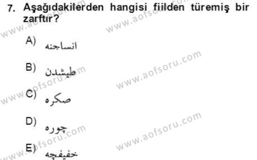 Osmanlı Türkçesine Giriş 2 Dersi 2021 - 2022 Yılı (Final) Dönem Sonu Sınavı 7. Soru