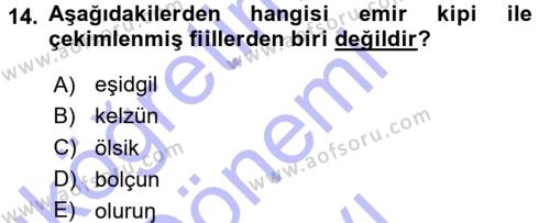 Orhon Türkçesi Dersi 2015 - 2016 Yılı (Final) Dönem Sonu Sınavı 14. Soru