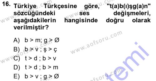 Orhun Türkçesi Dersi 2013 - 2014 Yılı (Final) Dönem Sonu Sınavı 16. Soru