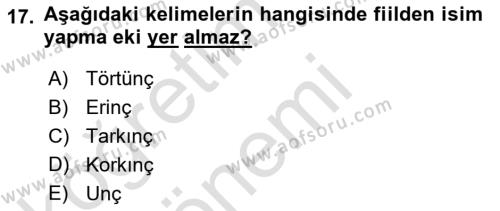 Orhun Türkçesi Dersi 2019 - 2020 Yılı (Vize) Ara Sınavı 17. Soru