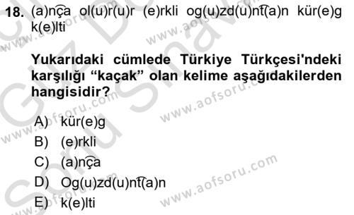 Orhun Türkçesi Dersi 2019 - 2020 Yılı (Final) Dönem Sonu Sınavı 18. Soru