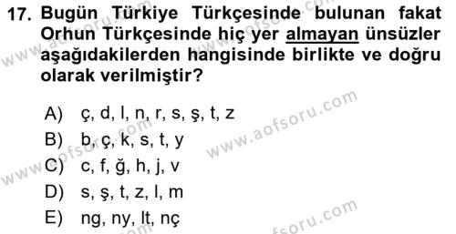 Orhun Türkçesi Dersi 2022 - 2023 Yılı (Vize) Ara Sınavı 17. Soru