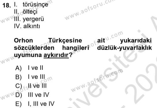 Orhun Türkçesi Dersi 2022 - 2023 Yılı (Vize) Ara Sınavı 18. Soru