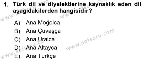 Orhun Türkçesi Dersi 2022 - 2023 Yılı (Final) Dönem Sonu Sınavı 1. Soru