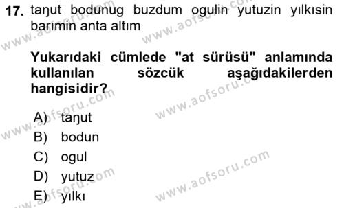 Orhun Türkçesi Dersi 2022 - 2023 Yılı Yaz Okulu Sınavı 17. Soru