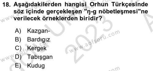 Orhun Türkçesi Dersi 2023 - 2024 Yılı (Vize) Ara Sınavı 18. Soru