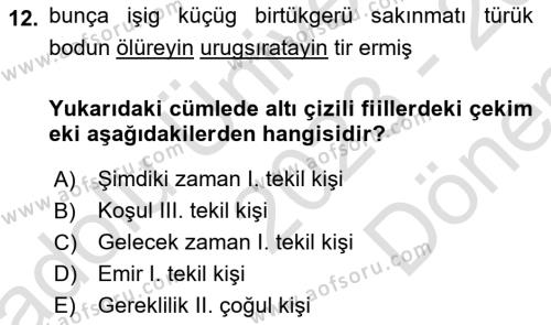 Orhun Türkçesi Dersi 2023 - 2024 Yılı (Final) Dönem Sonu Sınavı 12. Soru