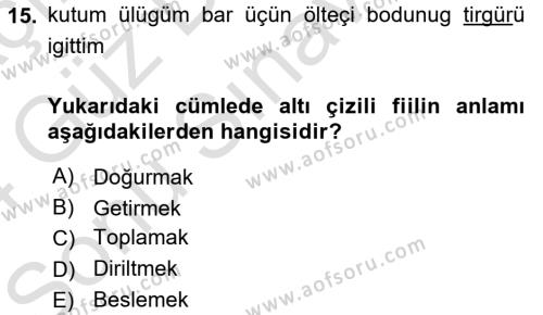 Orhun Türkçesi Dersi 2023 - 2024 Yılı (Final) Dönem Sonu Sınavı 15. Soru