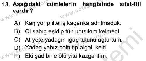 Orhun Türkçesi Dersi 2023 - 2024 Yılı Yaz Okulu Sınavı 13. Soru